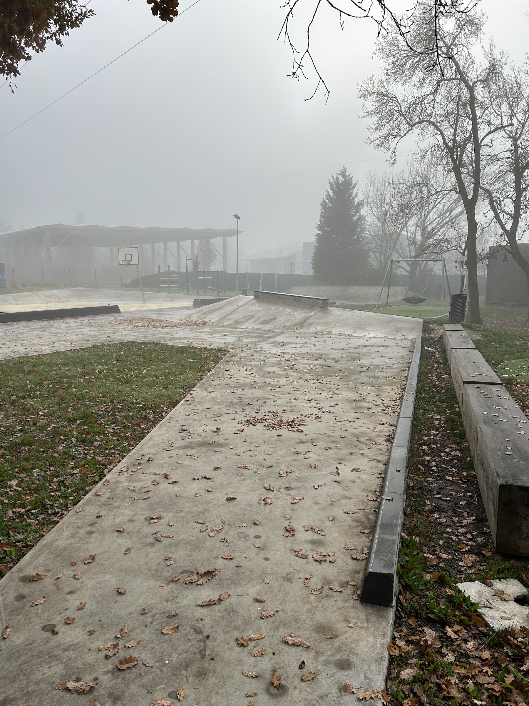 Bassens skatepark